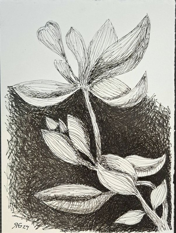 Exposição “UNA”, de Roberto Galvão, reúne obras em Fortaleza