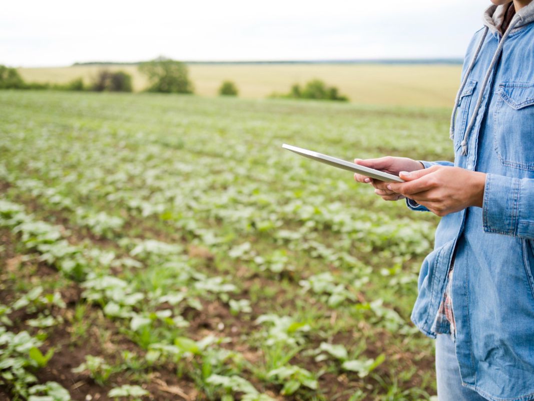 Agro em transformação: tecnologias devem redefinir o campo