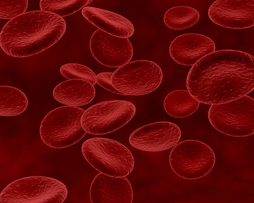 Mielodisplasia: doença silenciosa pode evoluir para leucemia