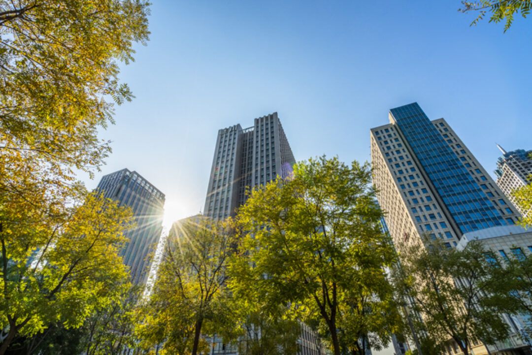ESG segue como prioridade para empresas brasileiras